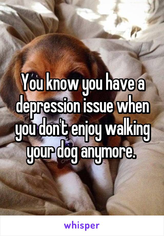 You know you have a depression issue when you don't enjoy walking your dog anymore. 