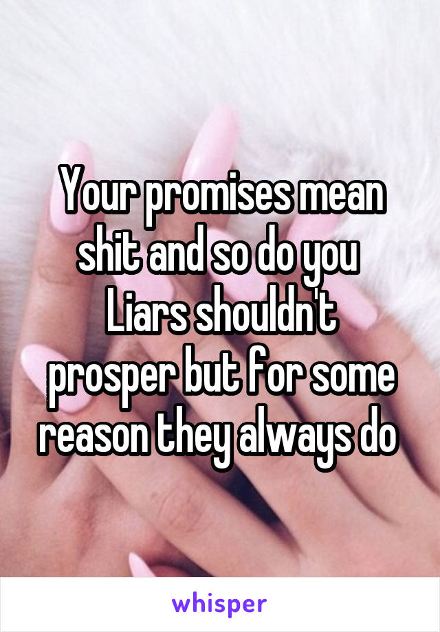 Your promises mean shit and so do you 
Liars shouldn't prosper but for some reason they always do 