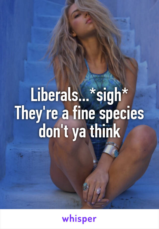 Liberals...*sigh*
They're a fine species don't ya think