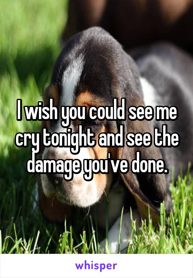 I wish you could see me cry tonight and see the damage you've done.