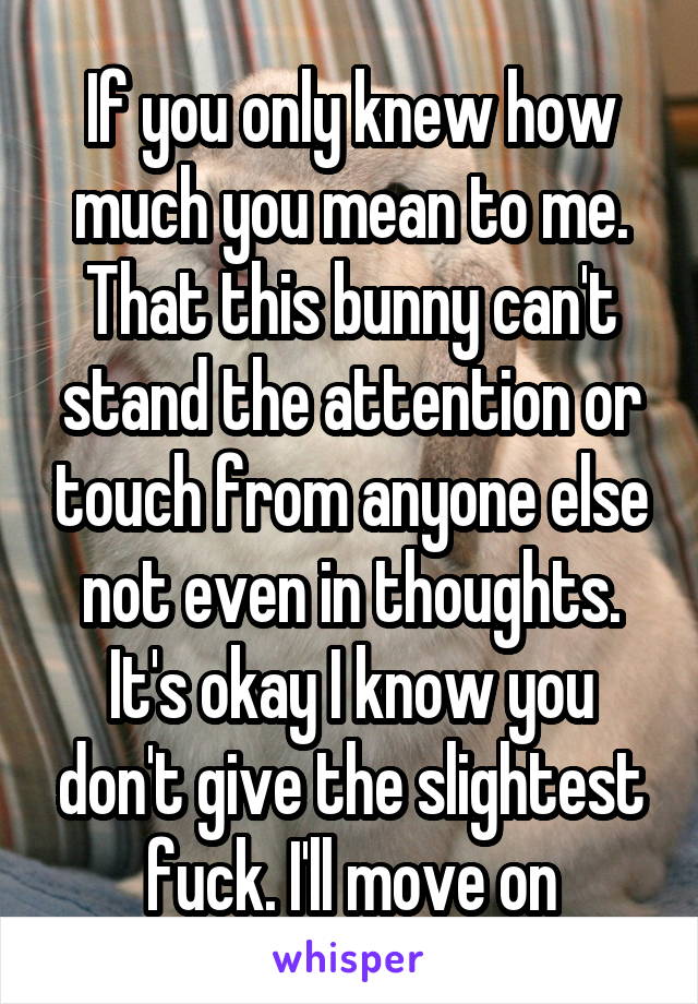 If you only knew how much you mean to me. That this bunny can't stand the attention or touch from anyone else not even in thoughts. It's okay I know you don't give the slightest fuck. I'll move on