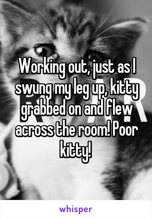 Working out, just as I swung my leg up, kitty grabbed on and flew across the room! Poor kitty! 