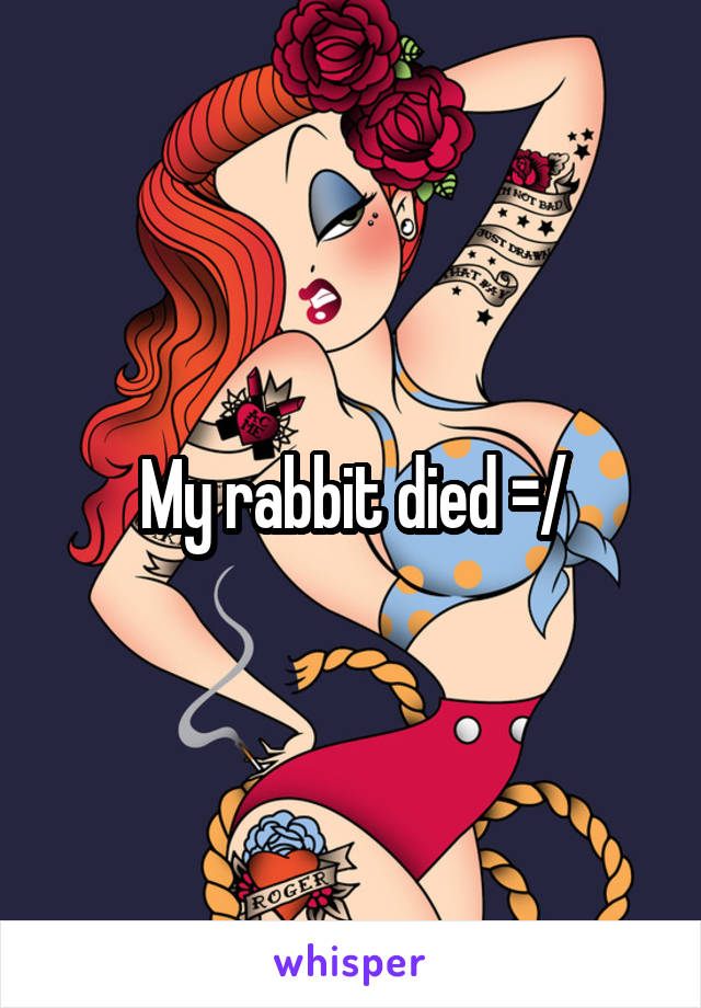 My rabbit died =/