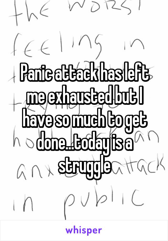 Panic attack has left me exhausted but I have so much to get done...today is a struggle