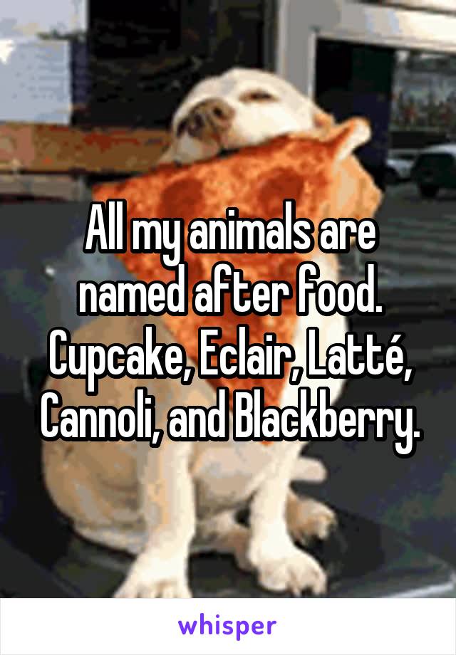 All my animals are named after food. Cupcake, Eclair, Latté, Cannoli, and Blackberry.