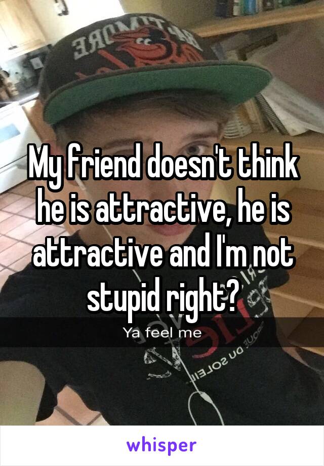 My friend doesn't think he is attractive, he is attractive and I'm not stupid right?