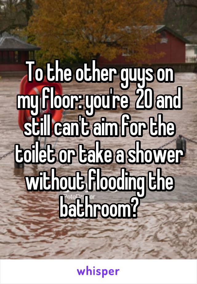 To the other guys on my floor: you're  20 and still can't aim for the toilet or take a shower without flooding the bathroom?