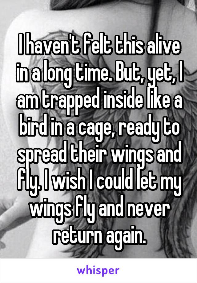 I haven't felt this alive in a long time. But, yet, I am trapped inside like a bird in a cage, ready to spread their wings and fly. I wish I could let my wings fly and never return again.