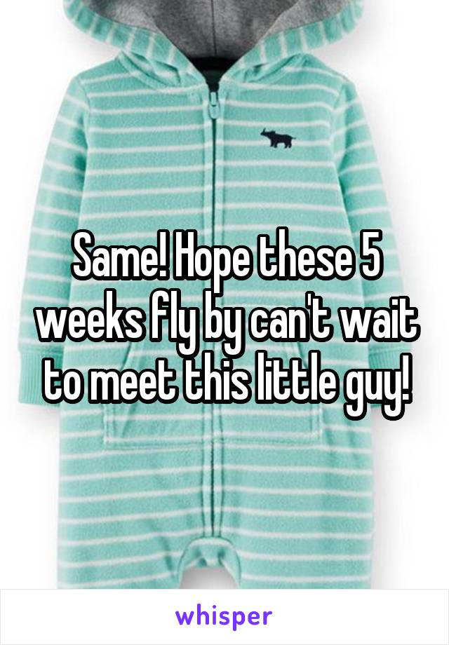 Same! Hope these 5 weeks fly by can't wait to meet this little guy!