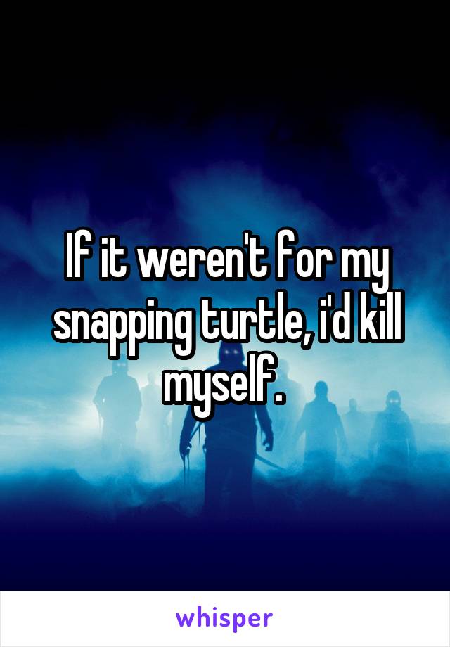 If it weren't for my snapping turtle, i'd kill myself. 