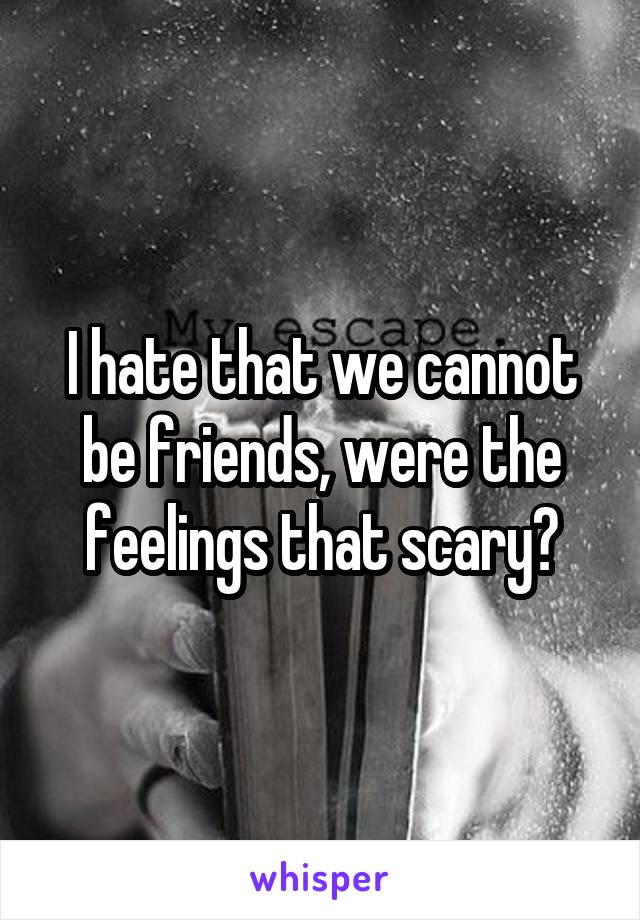 I hate that we cannot be friends, were the feelings that scary?