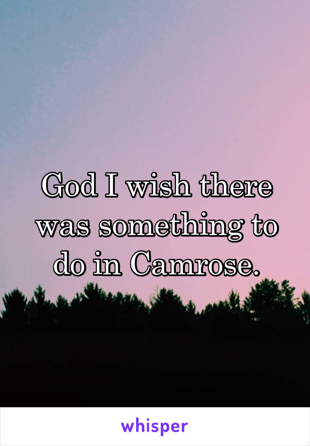 God I wish there was something to do in Camrose.