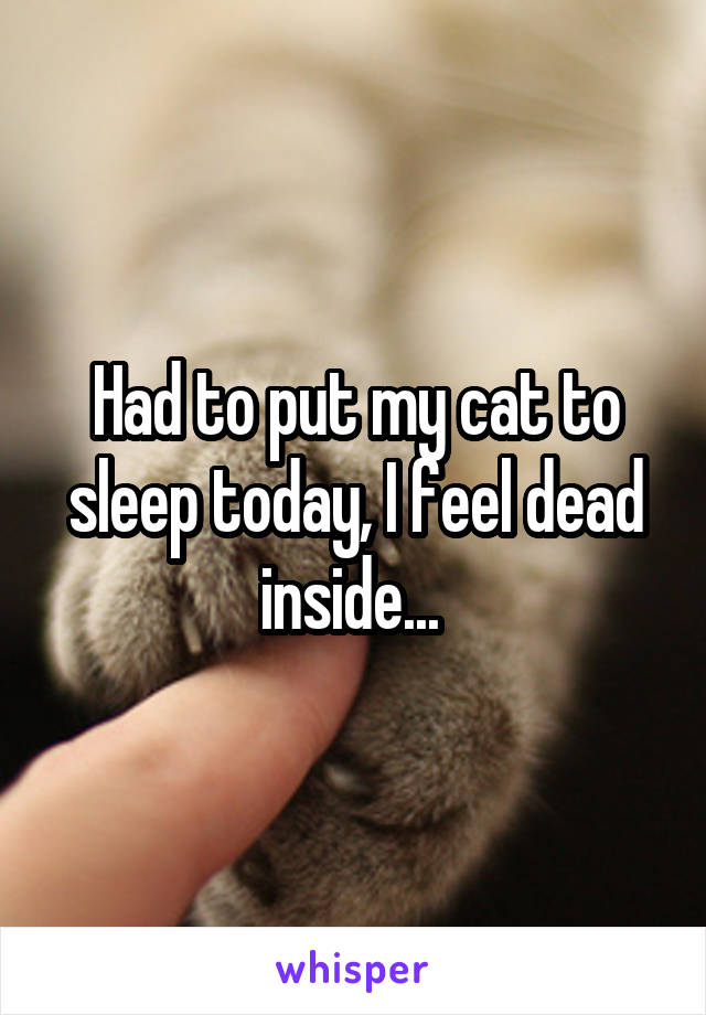 Had to put my cat to sleep today, I feel dead inside... 