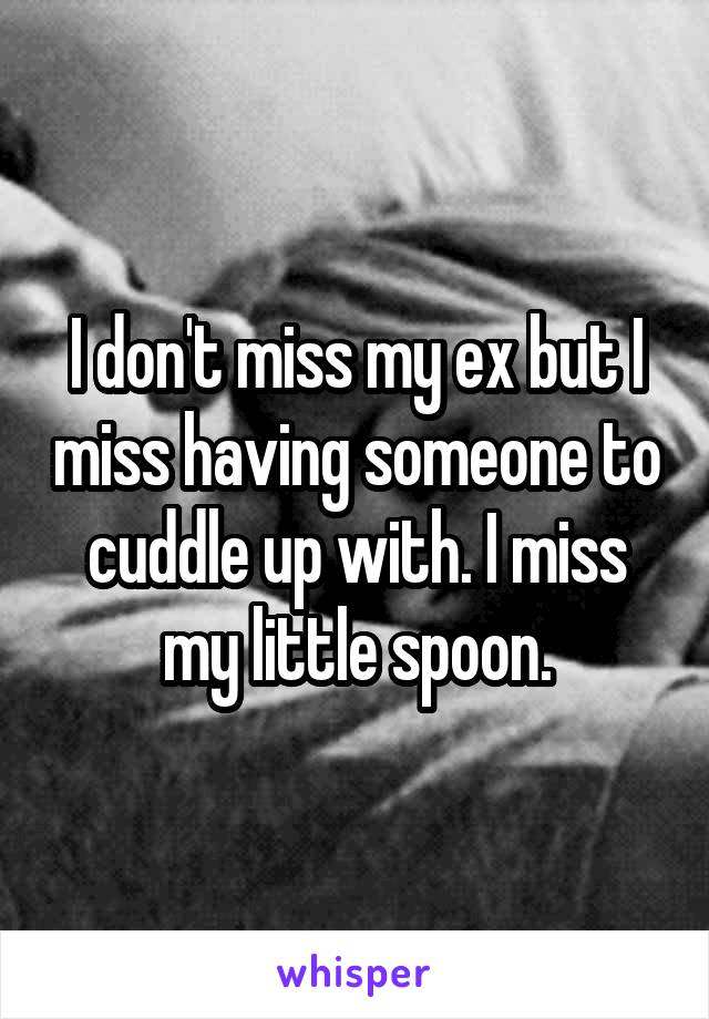 I don't miss my ex but I miss having someone to cuddle up with. I miss my little spoon.