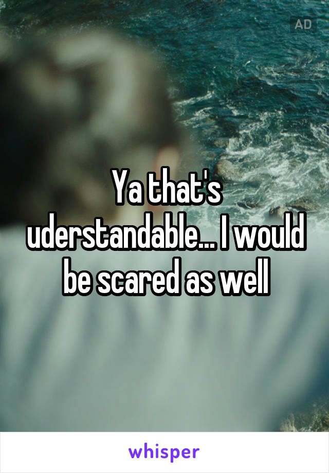 Ya that's uderstandable... I would be scared as well