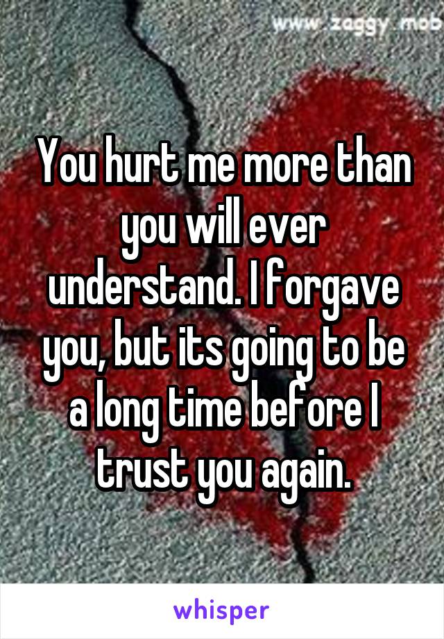 You hurt me more than you will ever understand. I forgave you, but its going to be a long time before I trust you again.