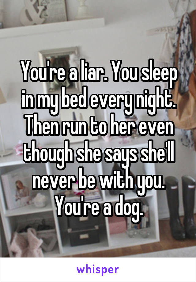 You're a liar. You sleep in my bed every night. Then run to her even though she says she'll never be with you. You're a dog.