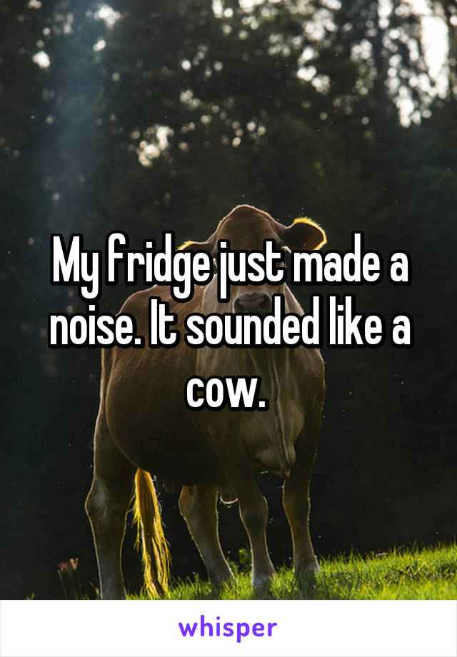 My fridge just made a noise. It sounded like a cow. 