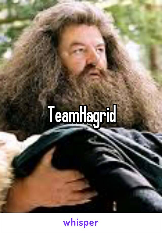 TeamHagrid