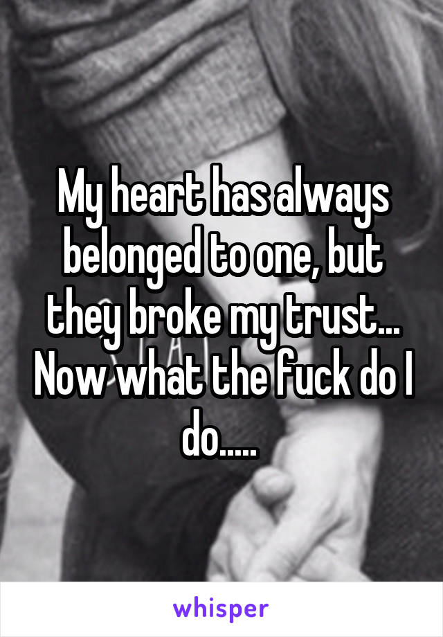 My heart has always belonged to one, but they broke my trust... Now what the fuck do I do..... 