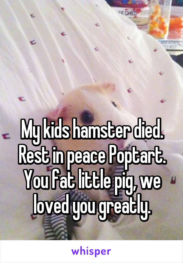 


My kids hamster died. Rest in peace Poptart. You fat little pig, we loved you greatly.