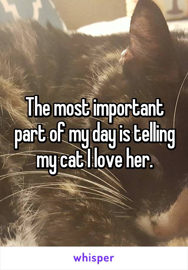 The most important part of my day is telling my cat I love her.