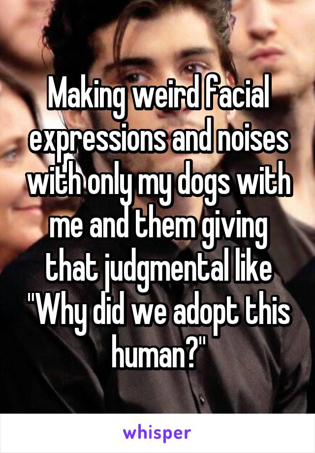 Making weird facial expressions and noises with only my dogs with me and them giving that judgmental like "Why did we adopt this human?"