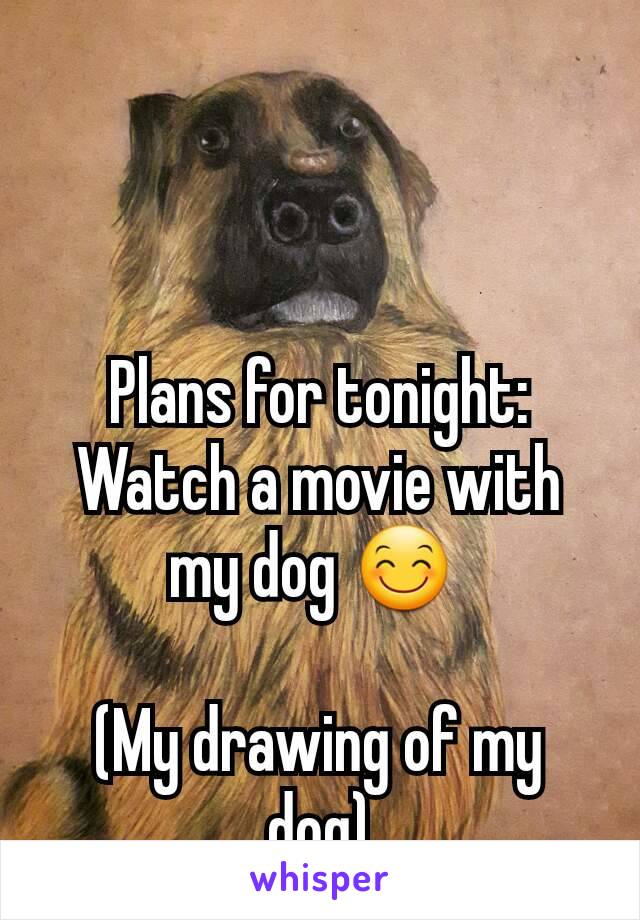 Plans for tonight:
Watch a movie with my dog 😊 

(My drawing of my dog)