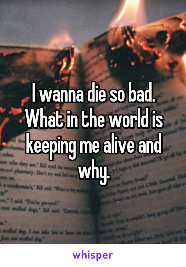 I wanna die so bad. What in the world is keeping me alive and why.