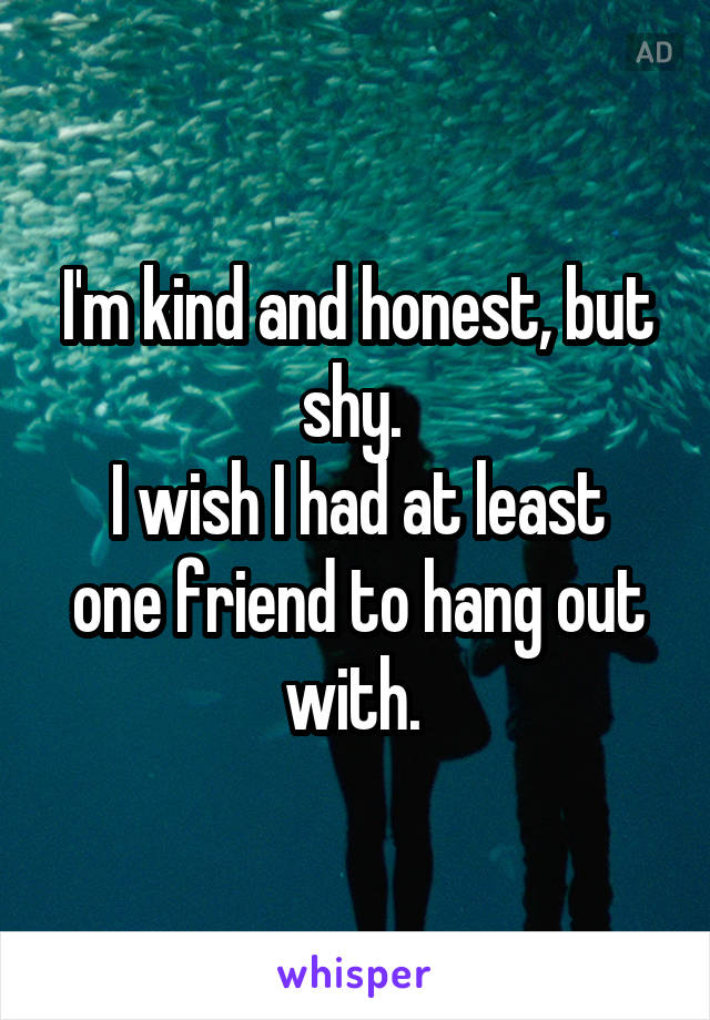 I'm kind and honest, but shy. 
I wish I had at least one friend to hang out with. 