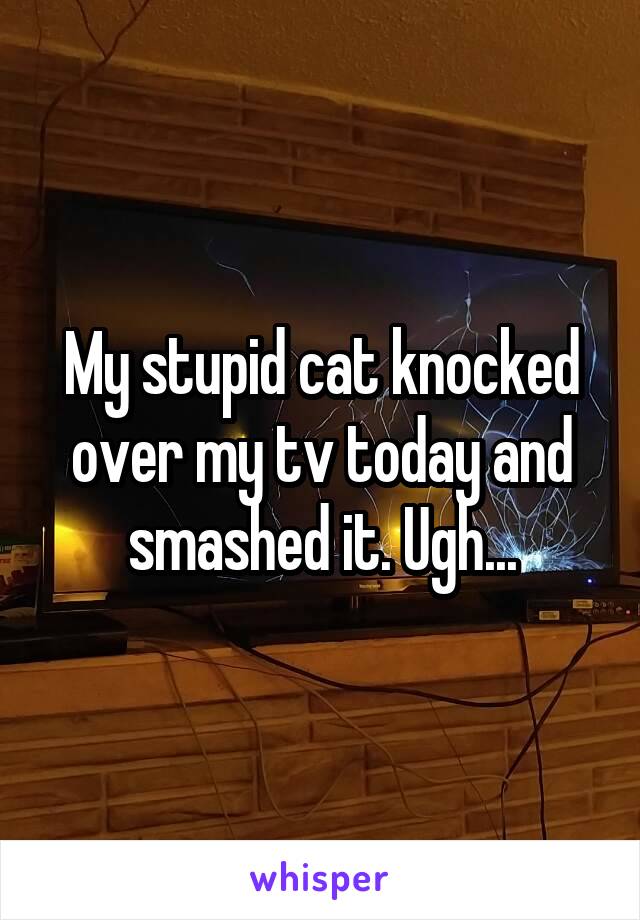 My stupid cat knocked over my tv today and smashed it. Ugh...