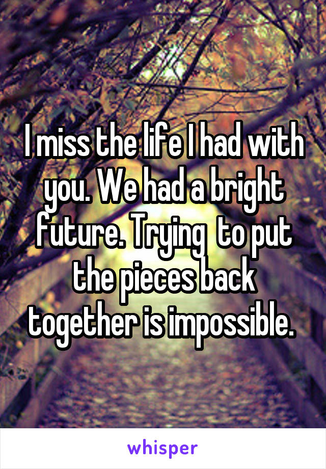 I miss the life I had with you. We had a bright future. Trying  to put the pieces back together is impossible. 