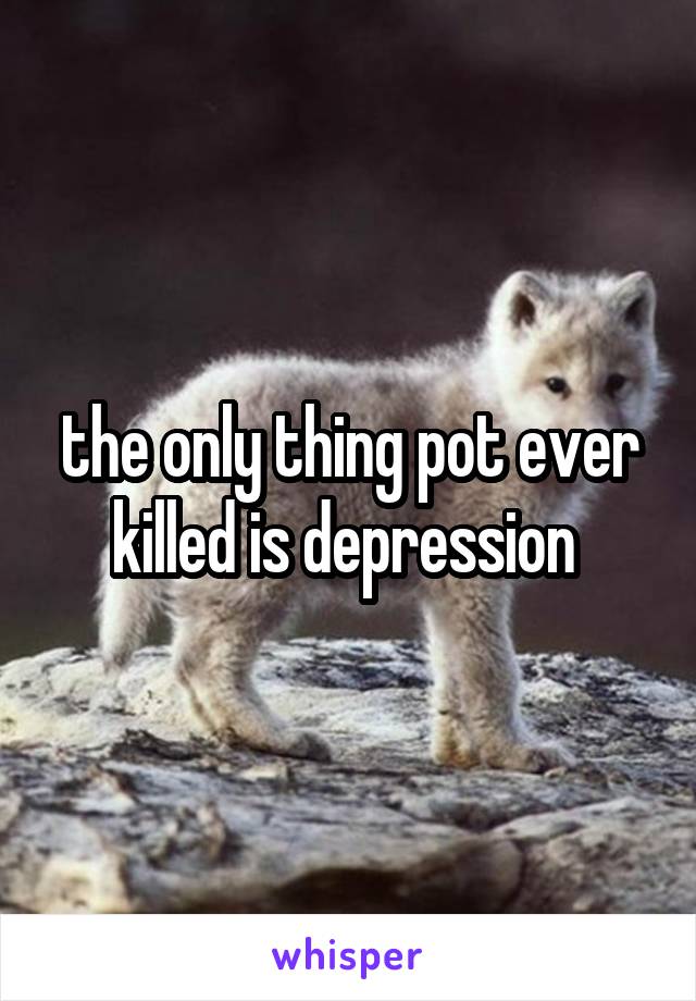 the only thing pot ever killed is depression 