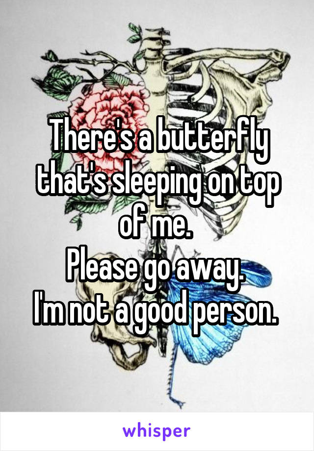 There's a butterfly that's sleeping on top of me. 
Please go away. 
I'm not a good person. 