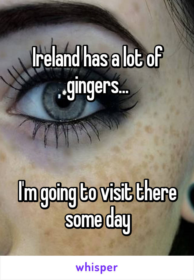 Ireland has a lot of gingers...



I'm going to visit there some day