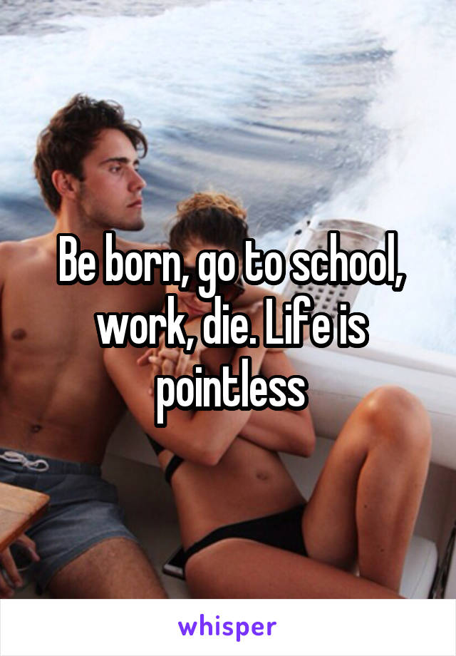 Be born, go to school, work, die. Life is pointless