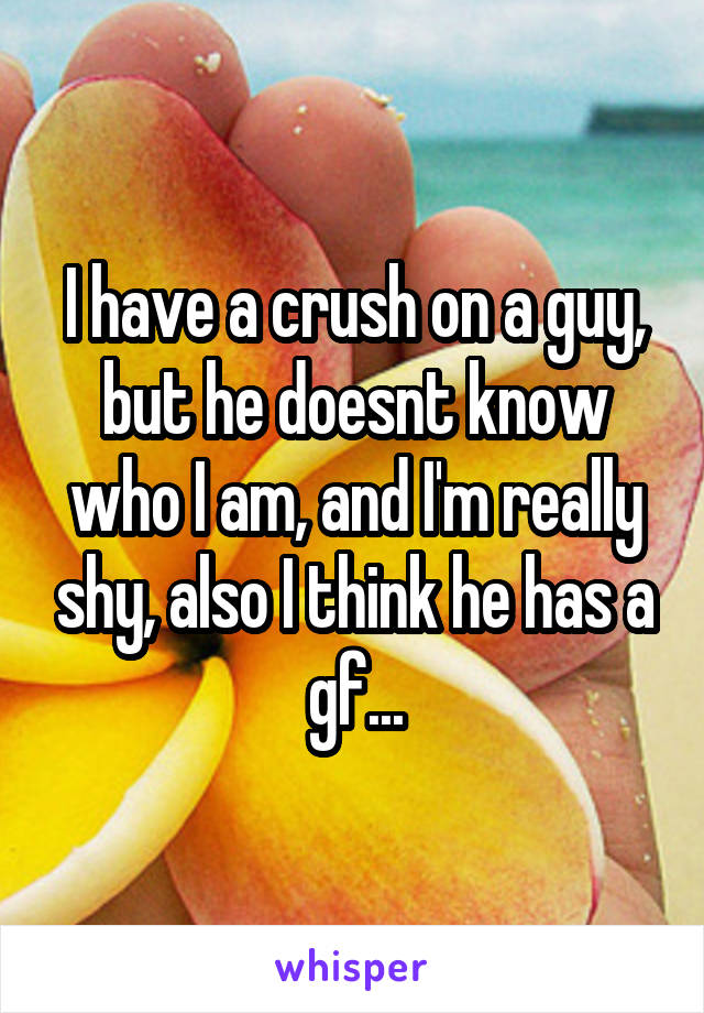 I have a crush on a guy, but he doesnt know who I am, and I'm really shy, also I think he has a gf...