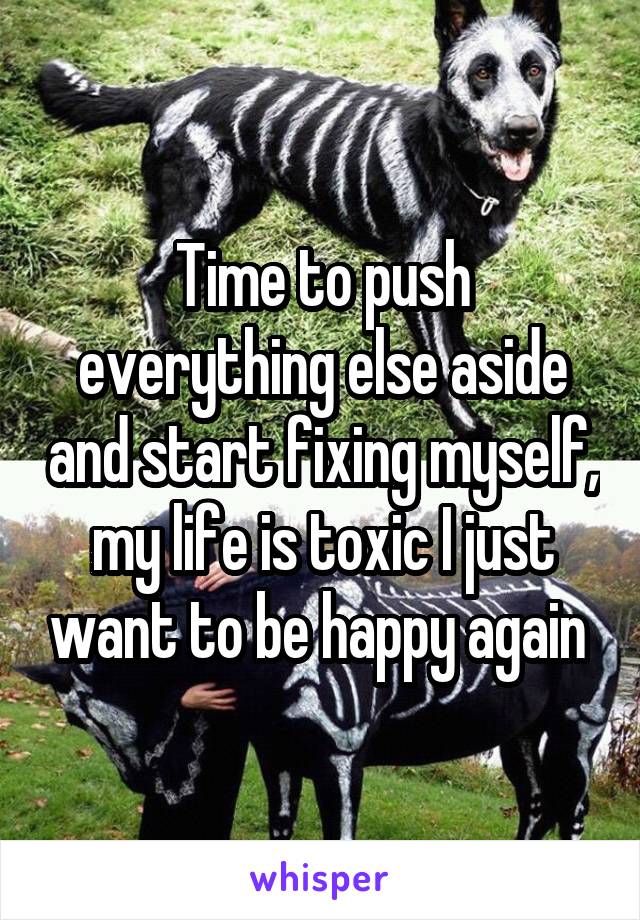 Time to push everything else aside and start fixing myself, my life is toxic I just want to be happy again 