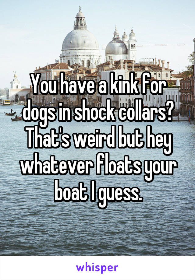 You have a kink for dogs in shock collars? That's weird but hey whatever floats your boat I guess.