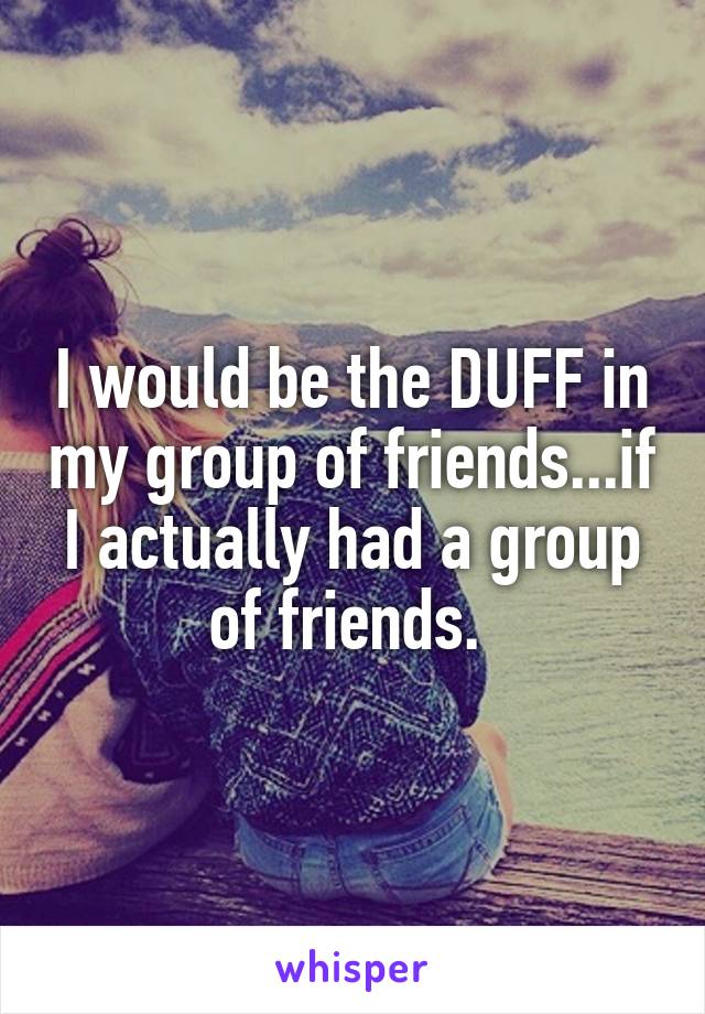 I would be the DUFF in my group of friends...if I actually had a group of friends. 