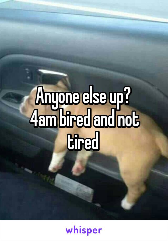 Anyone else up? 
4am bired and not tired 