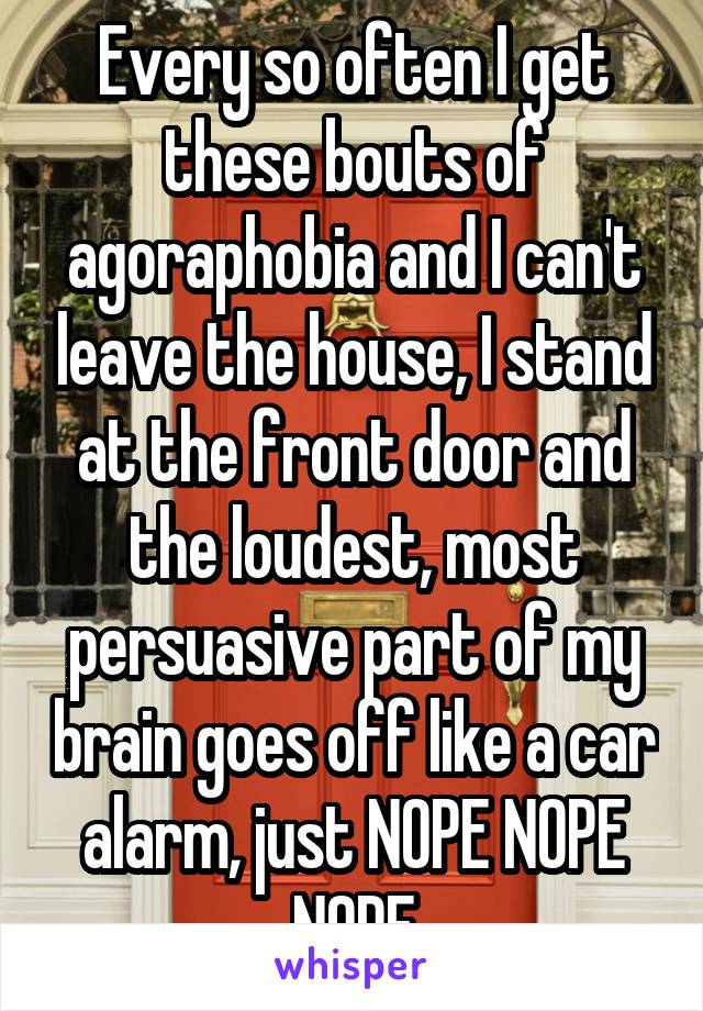 Every so often I get these bouts of agoraphobia and I can't leave the house, I stand at the front door and the loudest, most persuasive part of my brain goes off like a car alarm, just NOPE NOPE NOPE