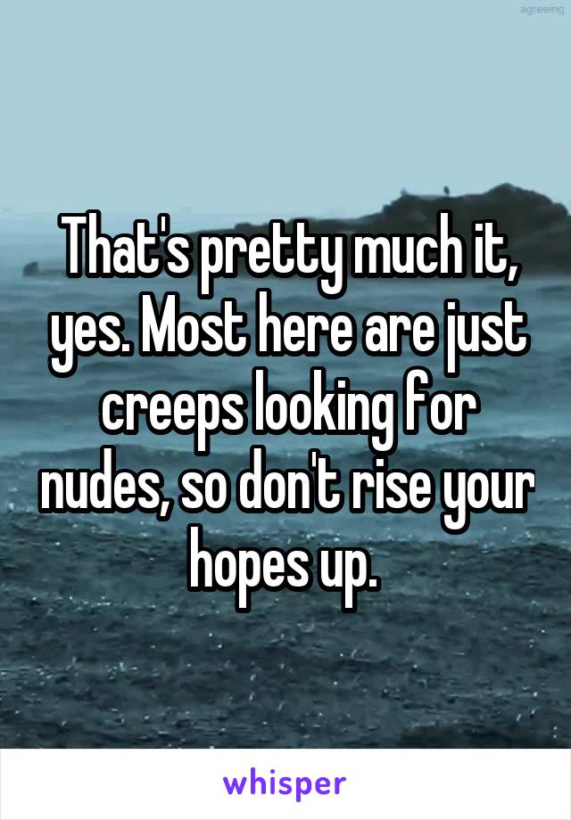 That's pretty much it, yes. Most here are just creeps looking for nudes, so don't rise your hopes up. 