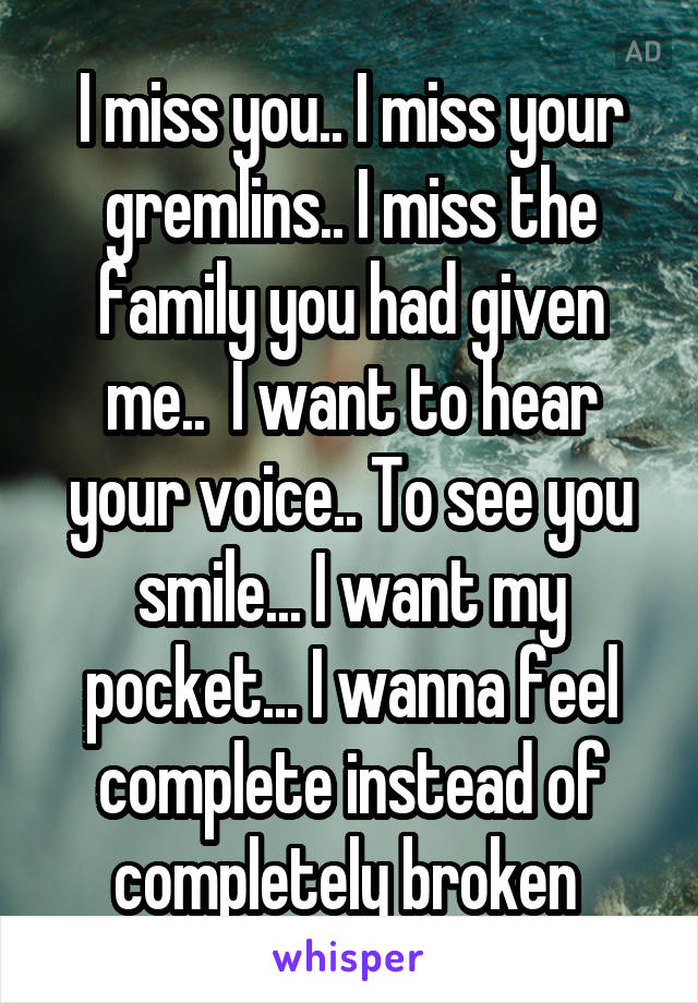 I miss you.. I miss your gremlins.. I miss the family you had given me..  I want to hear your voice.. To see you smile... I want my pocket... I wanna feel complete instead of completely broken 