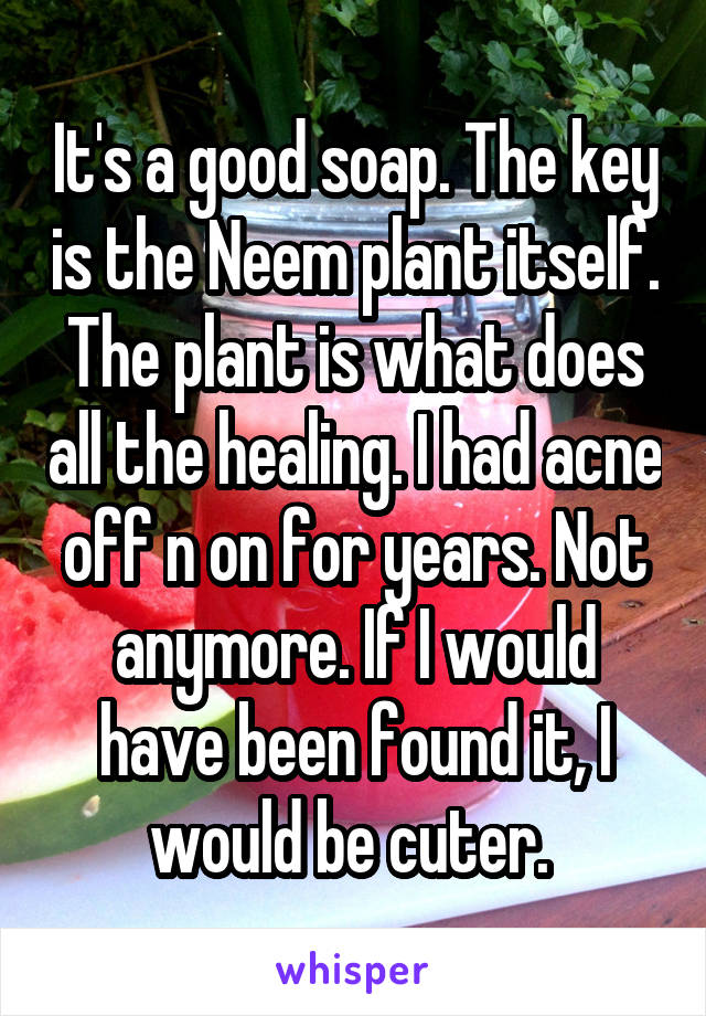 It's a good soap. The key is the Neem plant itself. The plant is what does all the healing. I had acne off n on for years. Not anymore. If I would have been found it, I would be cuter. 