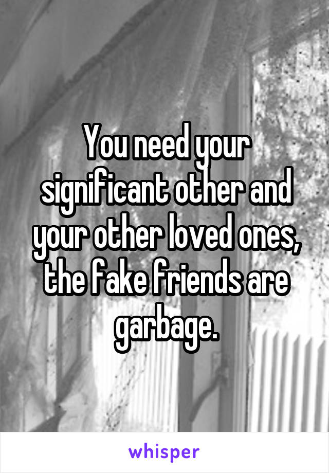 You need your significant other and your other loved ones, the fake friends are garbage.