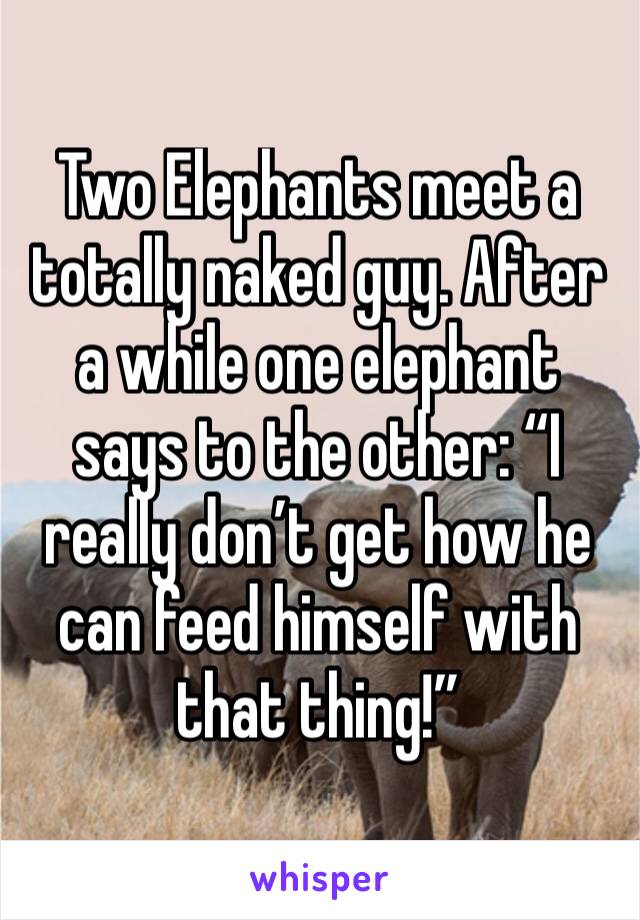 Two Elephants meet a totally naked guy. After a while one elephant says to the other: “I really don’t get how he can feed himself with that thing!”