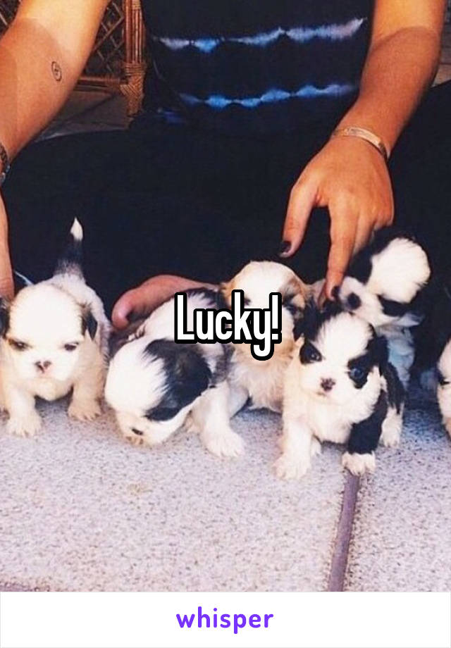 Lucky!