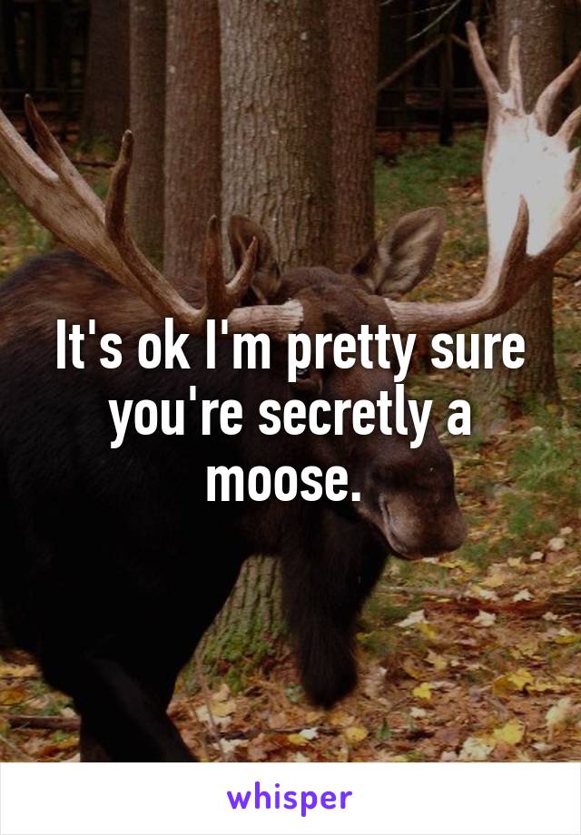 It's ok I'm pretty sure you're secretly a moose. 