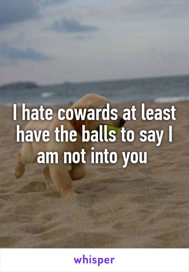 I hate cowards at least have the balls to say I am not into you 